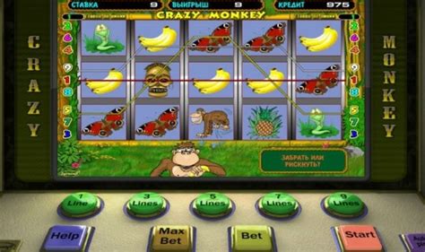 crazy monkey игровые автоматы бесплатно
